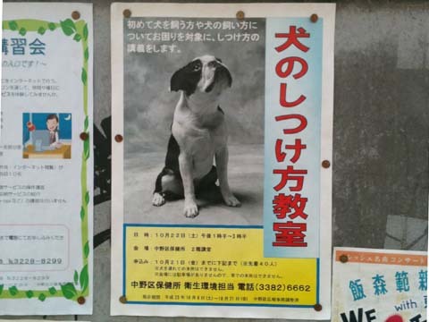 犬のしつけ方教室ポスター.jpg