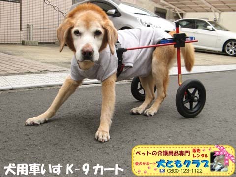 犬用車いすK9カートチャッピーちゃん用2016040201.jpg