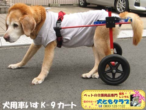 犬用車いすK9カートチャッピーちゃん用2016040202.jpg