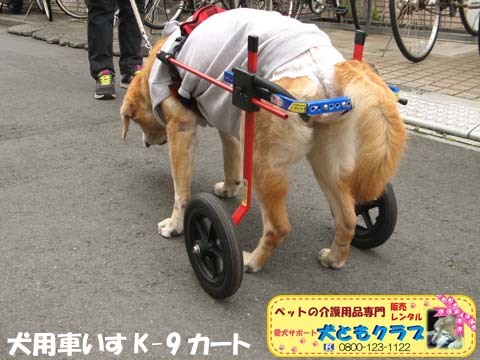 犬用車いすK9カートチャッピーちゃん用2016040207.jpg