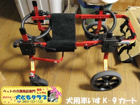 犬用車椅子4輪コーギーのチョコちゃん用2015030807.jpg