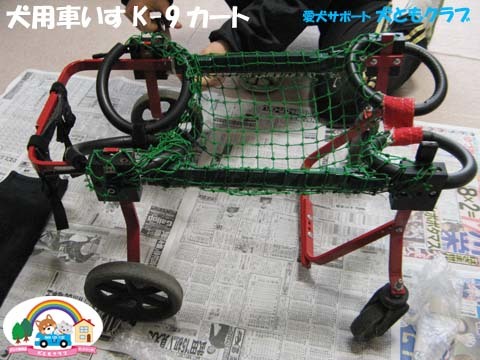犬用車椅子K-9カートコーギーのアークくん2015013104.jpg