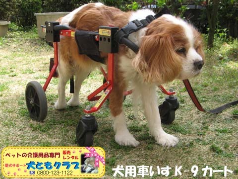 犬用車椅子K9カート2016040601.jpg