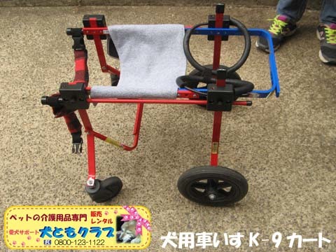 犬用車椅子K9カート　チャッピーちゃん用2016060406.jpg