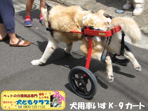 犬用車椅子K9カート　トト丸くん用2017082905.jpg