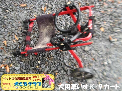 犬用車椅子K9カートアポロくん2017052608.jpg