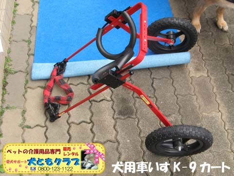 犬用車椅子K9カートジャーマンシェパードのクレオちゃん用2016040510.jpg