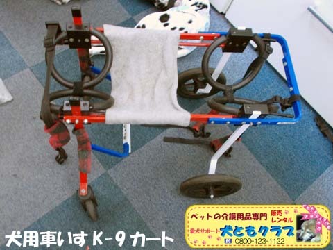 犬用車椅子K9カートダルメシアンのMayちゃん用2017120504.jpg