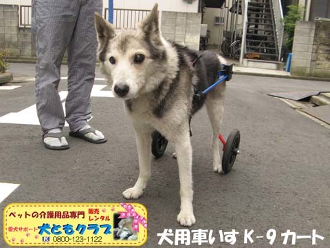 犬用車椅子K9カートモモ太郎くん用2015101003.jpg