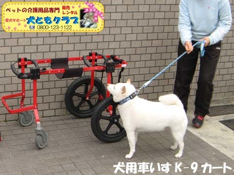 犬用車椅子K9カートXLサイズ2015031804.jpg