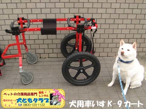 犬用車椅子K9カートXLサイズ2015031805.jpg