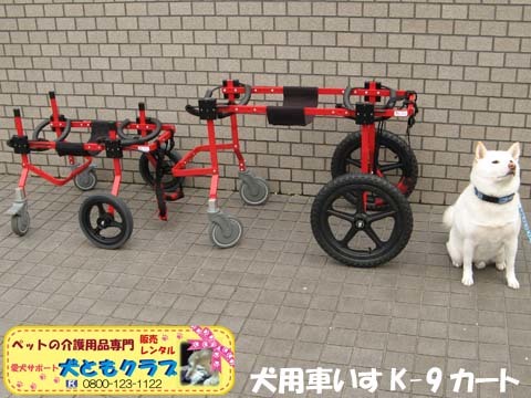 犬用車椅子K9カートXLサイズ2015031806.jpg