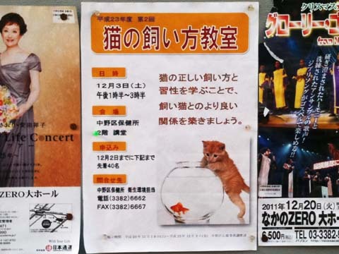 猫の飼い方教室ポスター.jpg