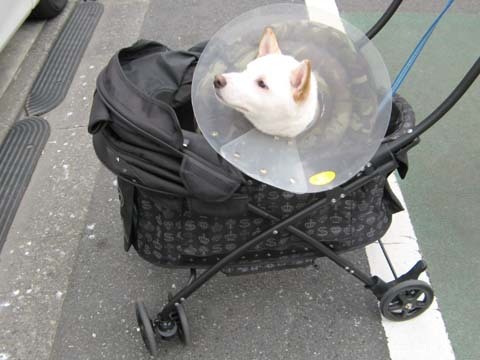 陸2011102001.jpg
